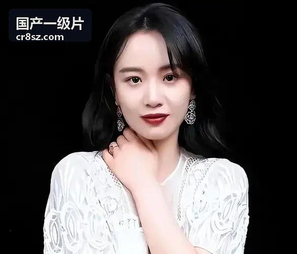 国产一级片量子迷踪海报